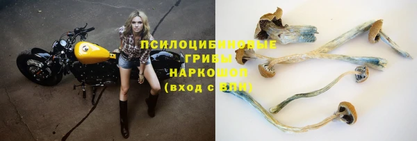 Альфа ПВП Балабаново
