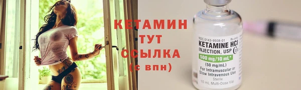 прущие грибы Баксан