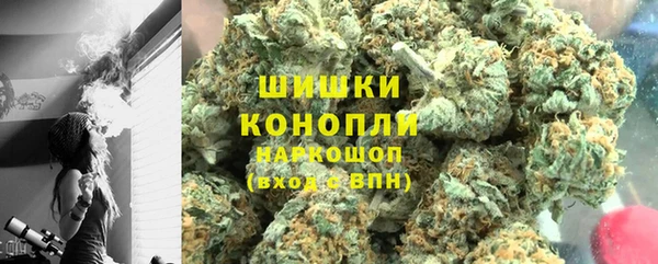 прущие грибы Баксан