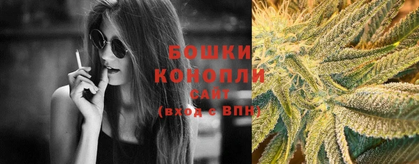 прущие грибы Баксан