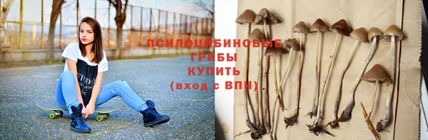Альфа ПВП Балабаново