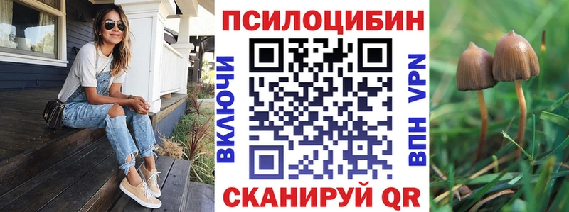 магазин продажи   Унеча  ОМГ ОМГ ССЫЛКА  Псилоцибиновые грибы мицелий 