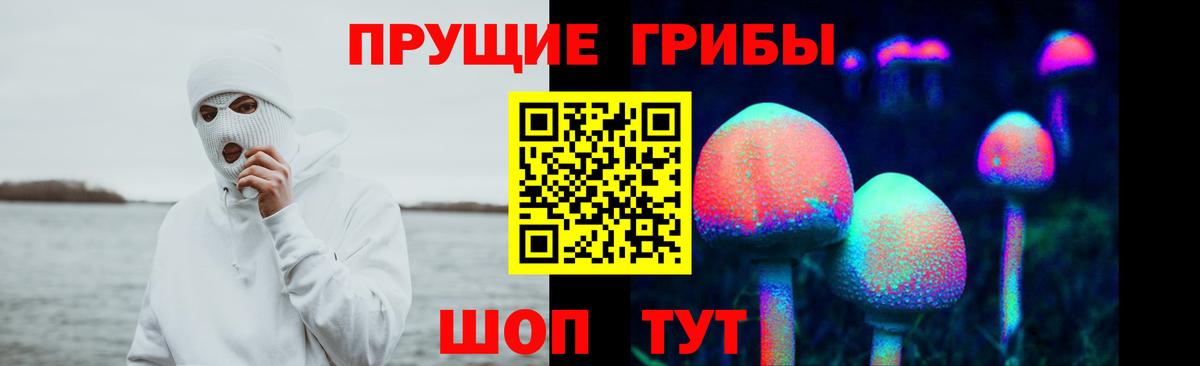 Псилоцибиновые грибы Magic Shrooms  Вход с VPN  Унеча 